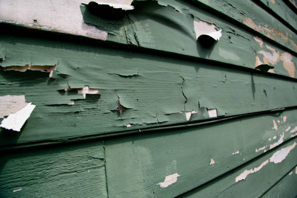 Best Construction Debris Removal  in Wright, FL